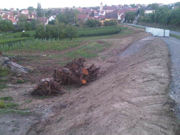 IMG03260-20150825-2011