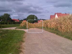 IMG03288-20150907-1034